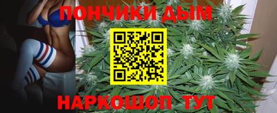 jwh Новодвинск