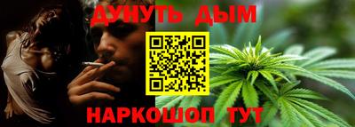 скорость Новозыбков